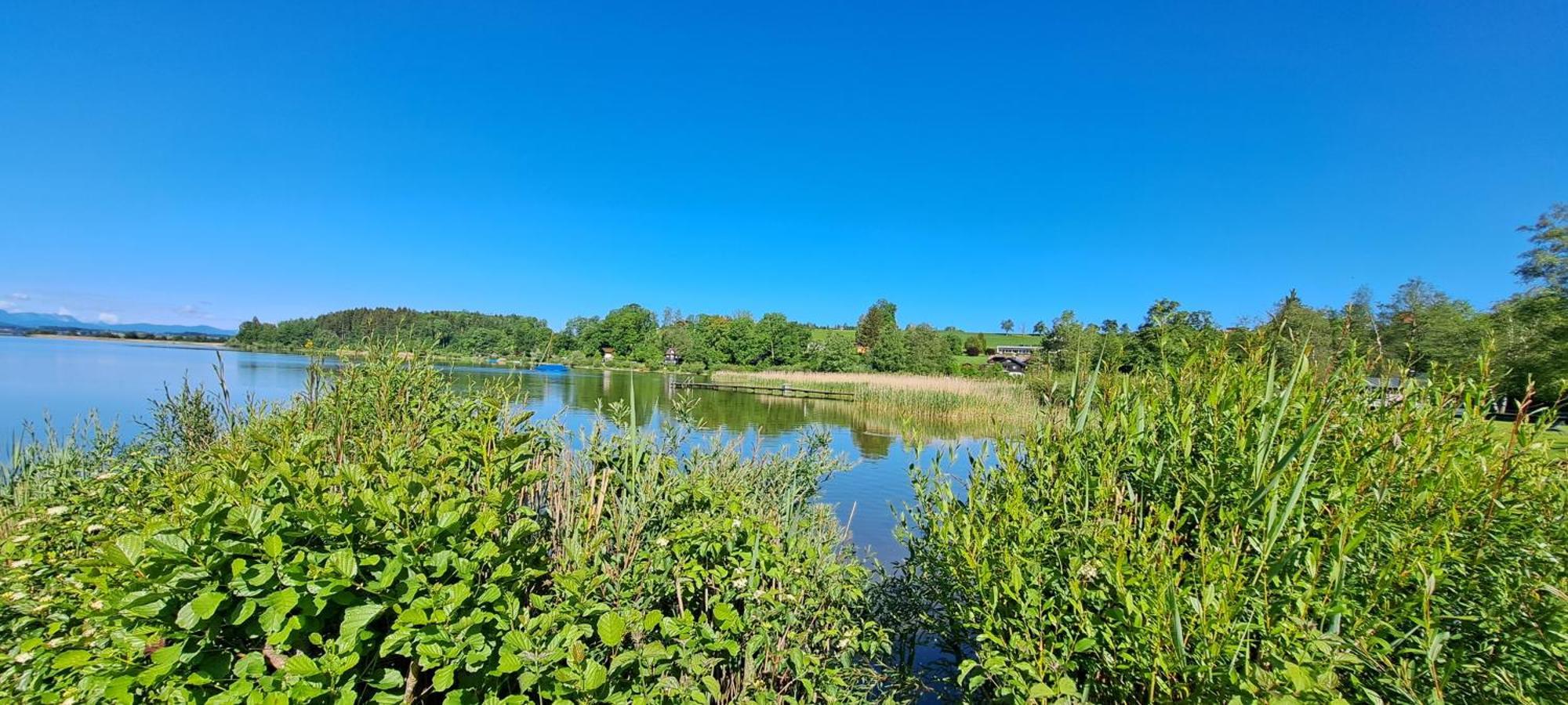 Ferienwohnung Wallersee Neumarkt am Wallersee Luaran gambar